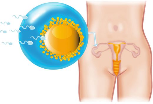 Yumurtlama Kanaması Nasıl Olur?